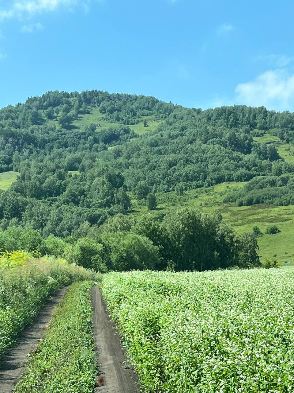 Горный пейзаж